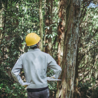 Visa for Business Activities and Others